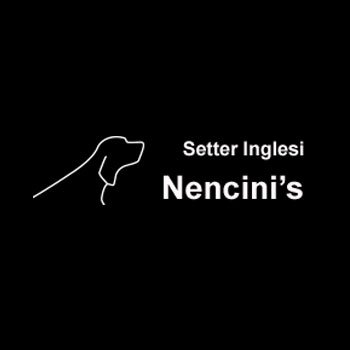 NENCINI