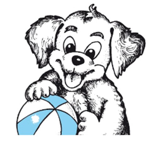 MR MIX JUNIOR DOGS