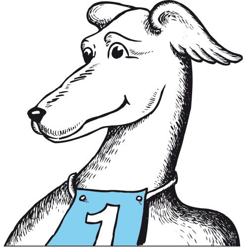 MR MIX DINAMIC DOGS
