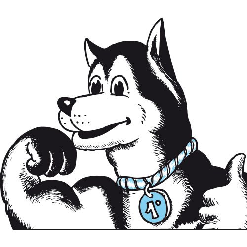 MR MIX ENDURANCE DOGS