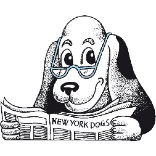 MR MIX SENIOR LIGHT DOGS