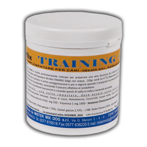 MR. MIX TRAINING DOGS 