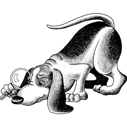MR MIX SPECIALE SEGUITA DOGS