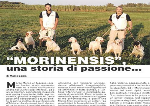 MORINENSIS UNA STORIA DI PASSIONE
